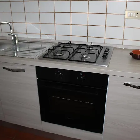 In Centro A Vincent * سانت فينسنت